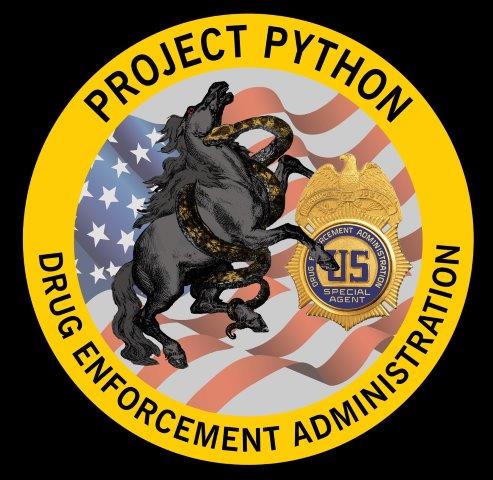 PROJECT PYTHON LOGO