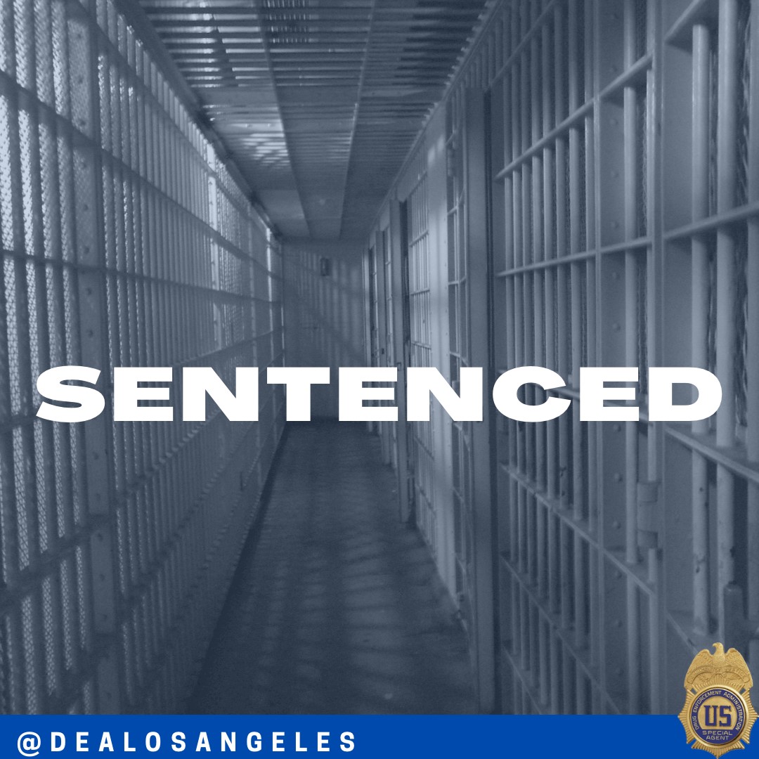 Sentenced Graphic DEA LA 