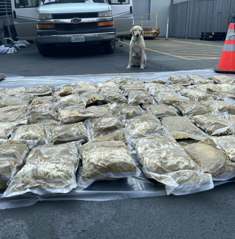 K-9 Ginger with seized RV and hundreds of pounds of methamphetamine.