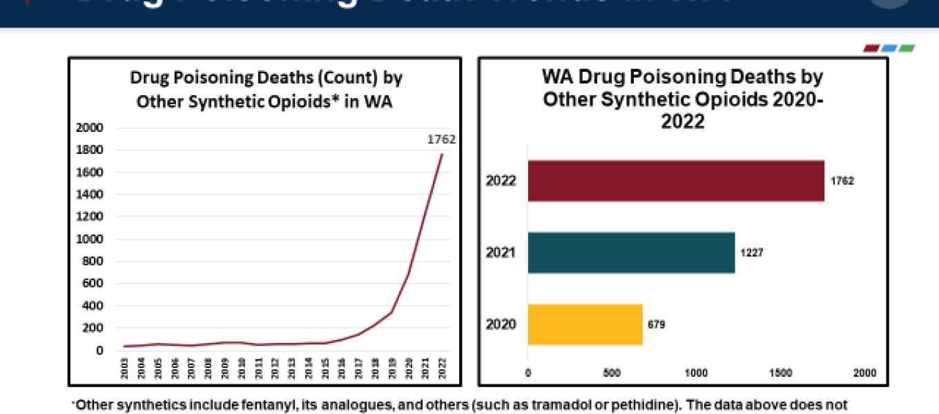 Drug Poisoning Deaths in WA