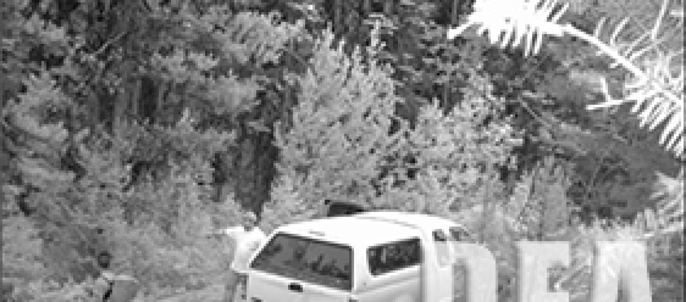 A forest road at the trail entrance in the Boise National Forest near Little Beaver Creek.  Juan Pablo Villasenor-Villa provides supplies for marijuana workers and gives them directions.